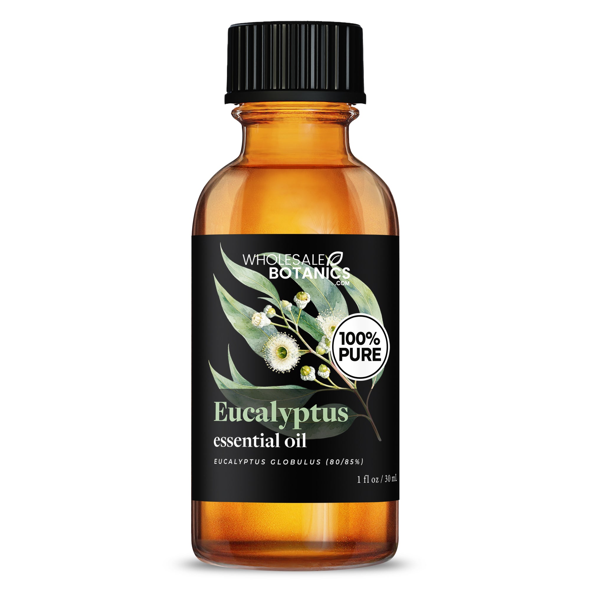 Eucalyptus Essential Oil - Eucalyptus Globulus (80/85%)