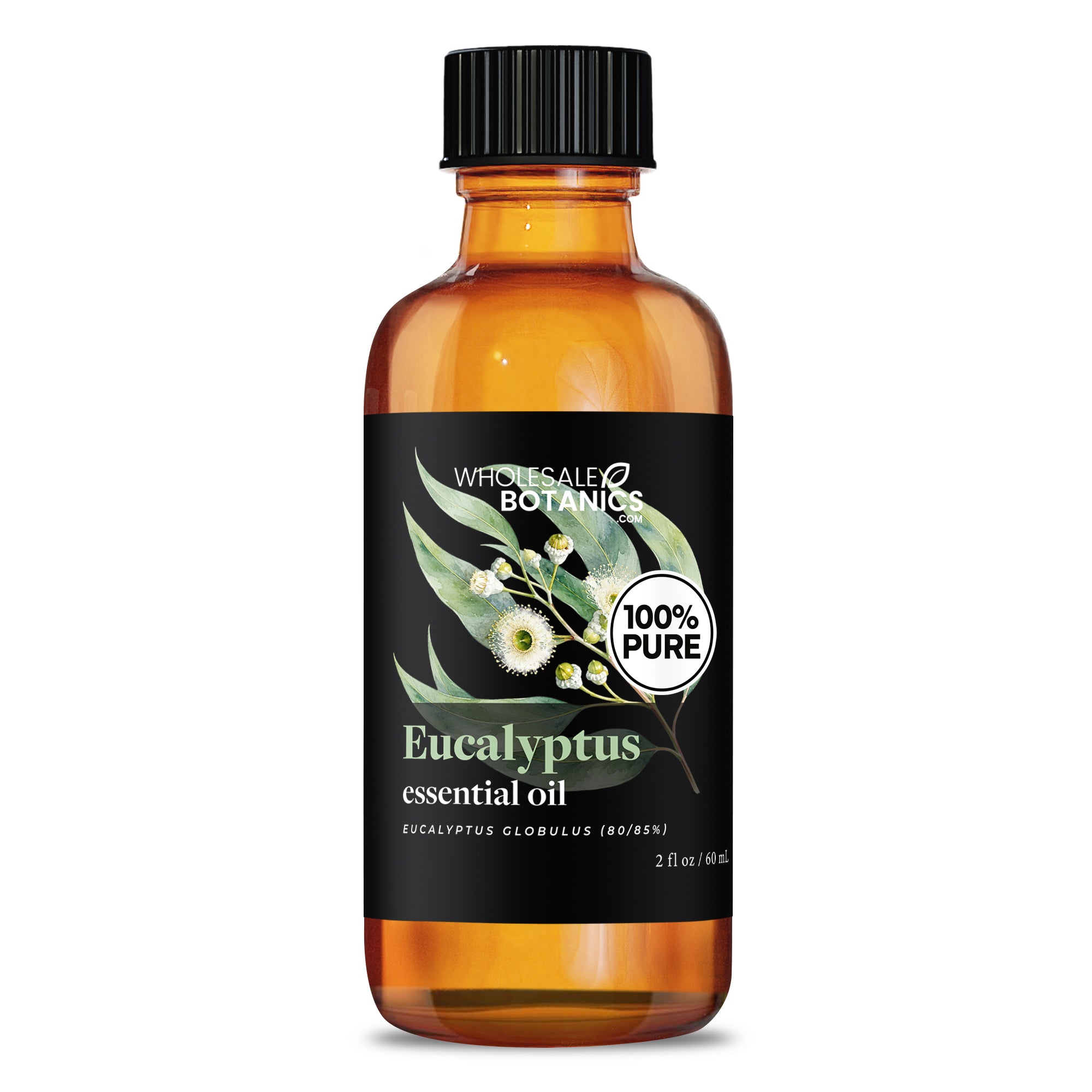 Eucalyptus Essential Oil - Eucalyptus Globulus (80/85%)