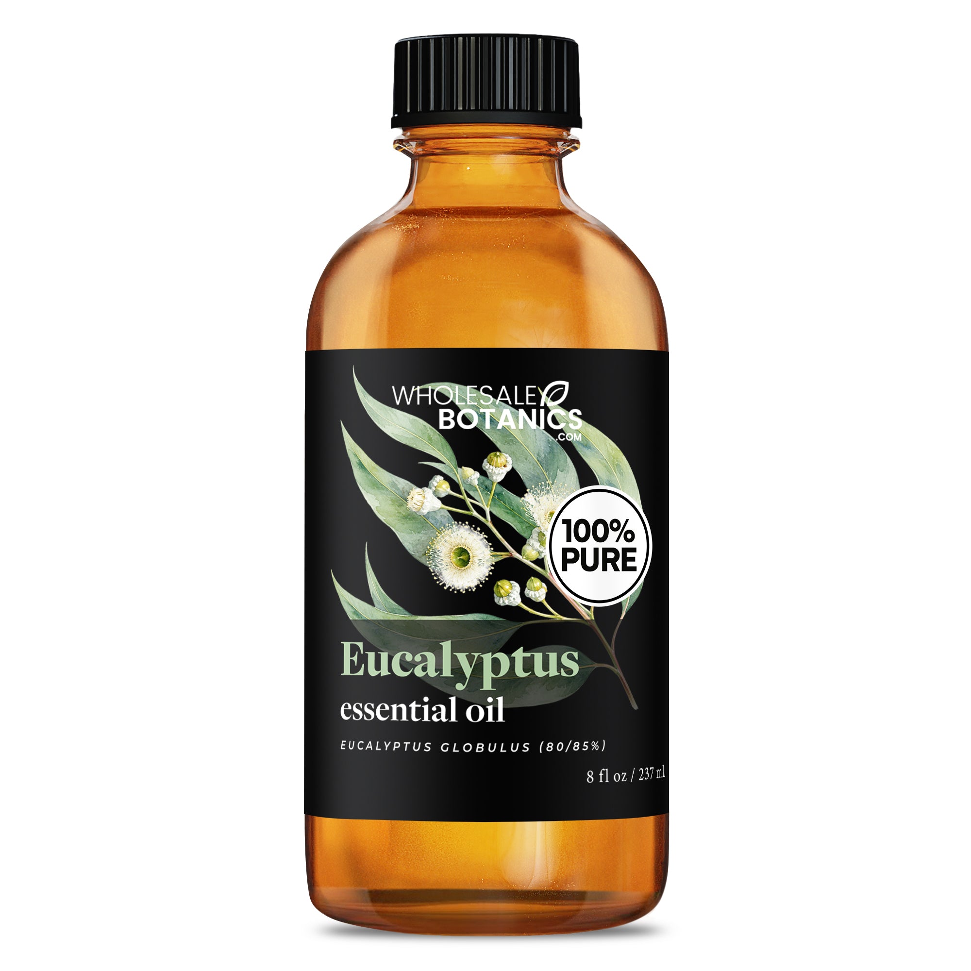 Eucalyptus Essential Oil - Eucalyptus Globulus (80/85%)