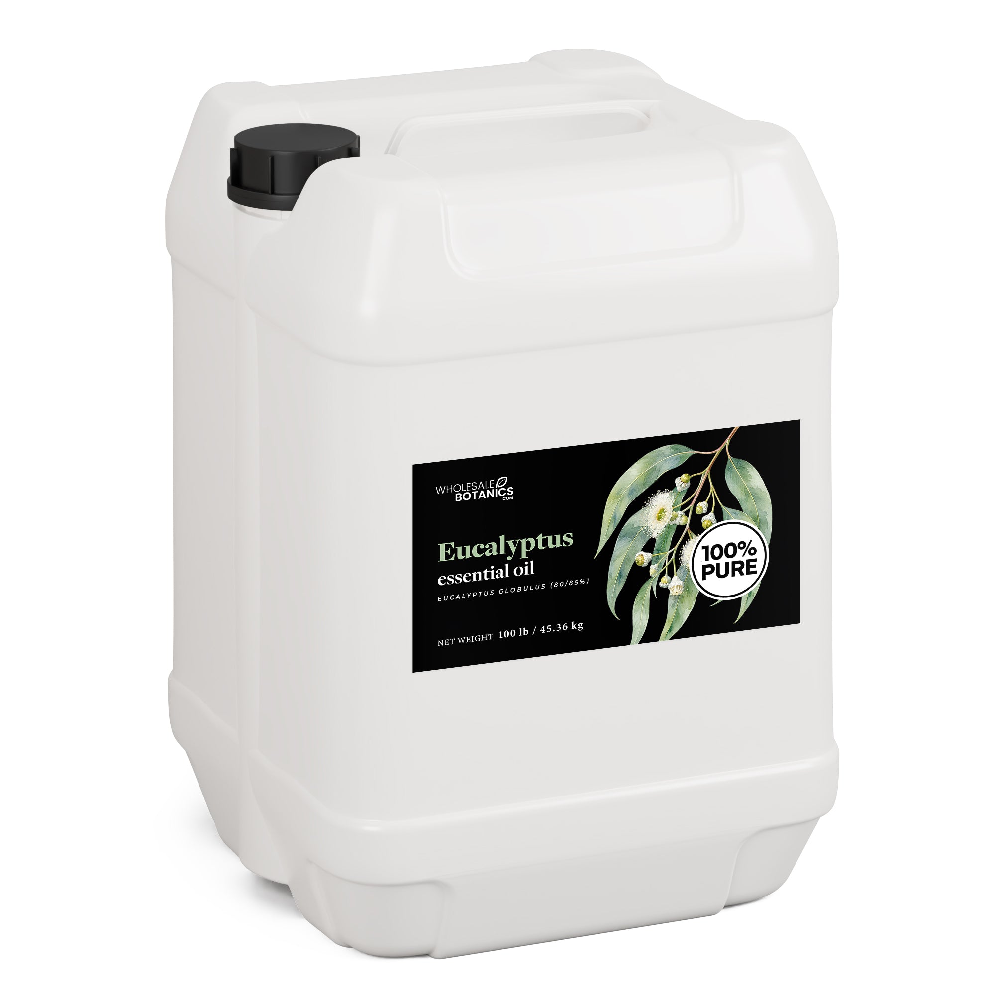 Eucalyptus Essential Oil - Eucalyptus Globulus (80/85%)