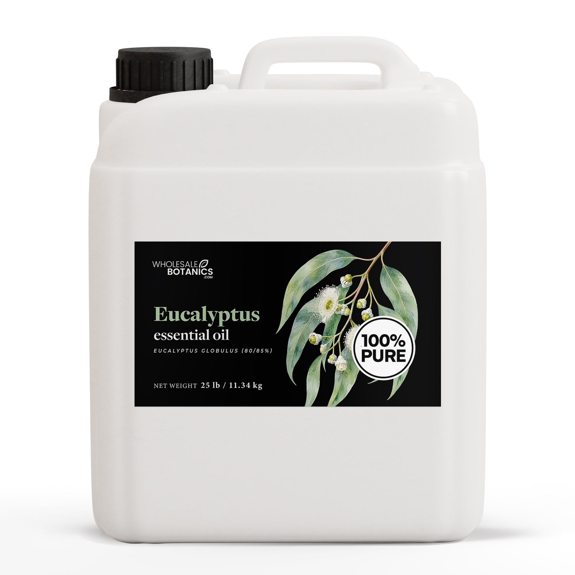 Eucalyptus Essential Oil - Eucalyptus Globulus (80/85%)