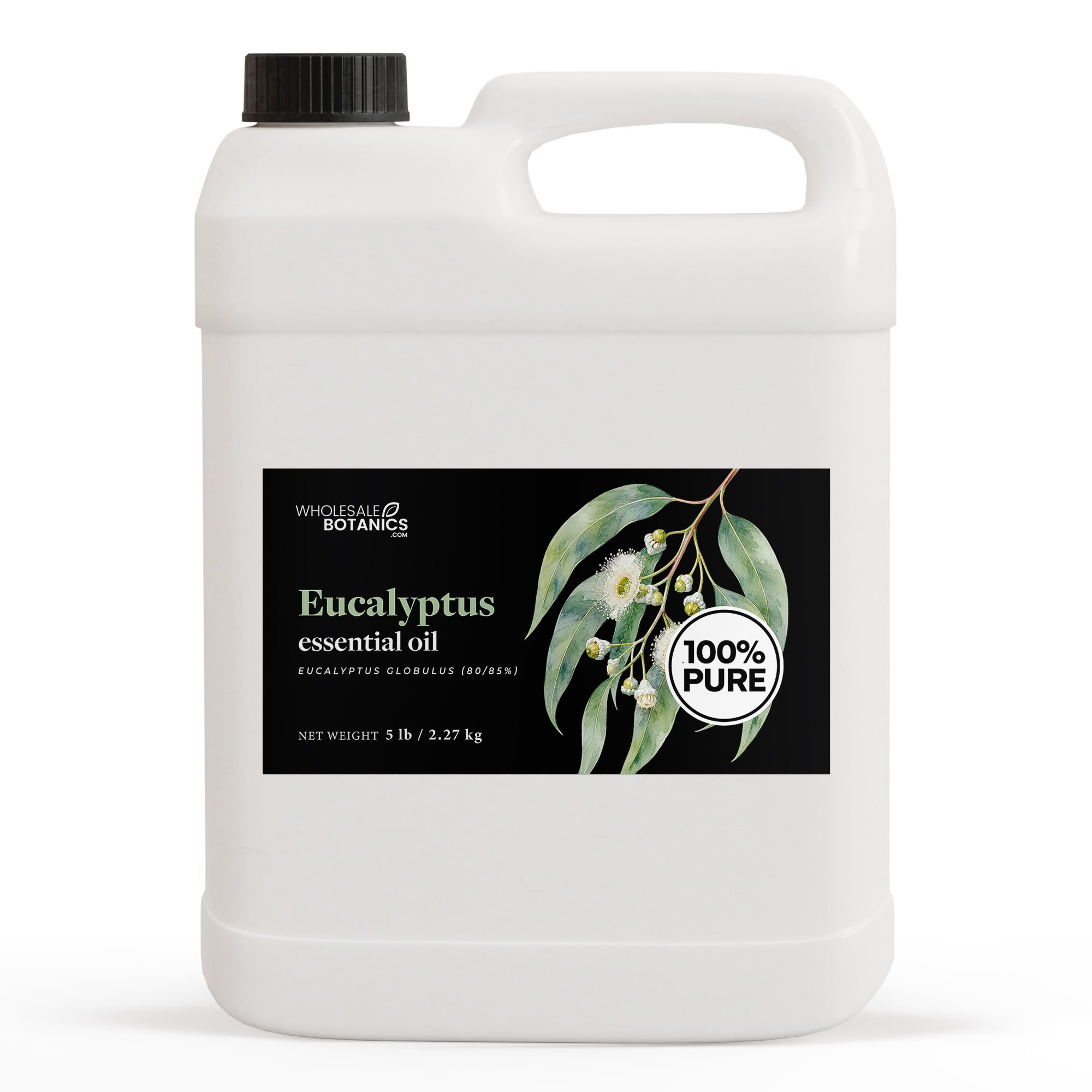 Eucalyptus Essential Oil - Eucalyptus Globulus (80/85%)