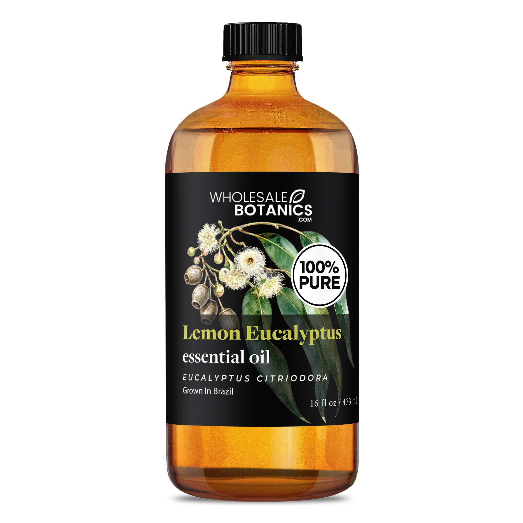 Eucalyptus Essential Oil - Lemon Eucalyptus