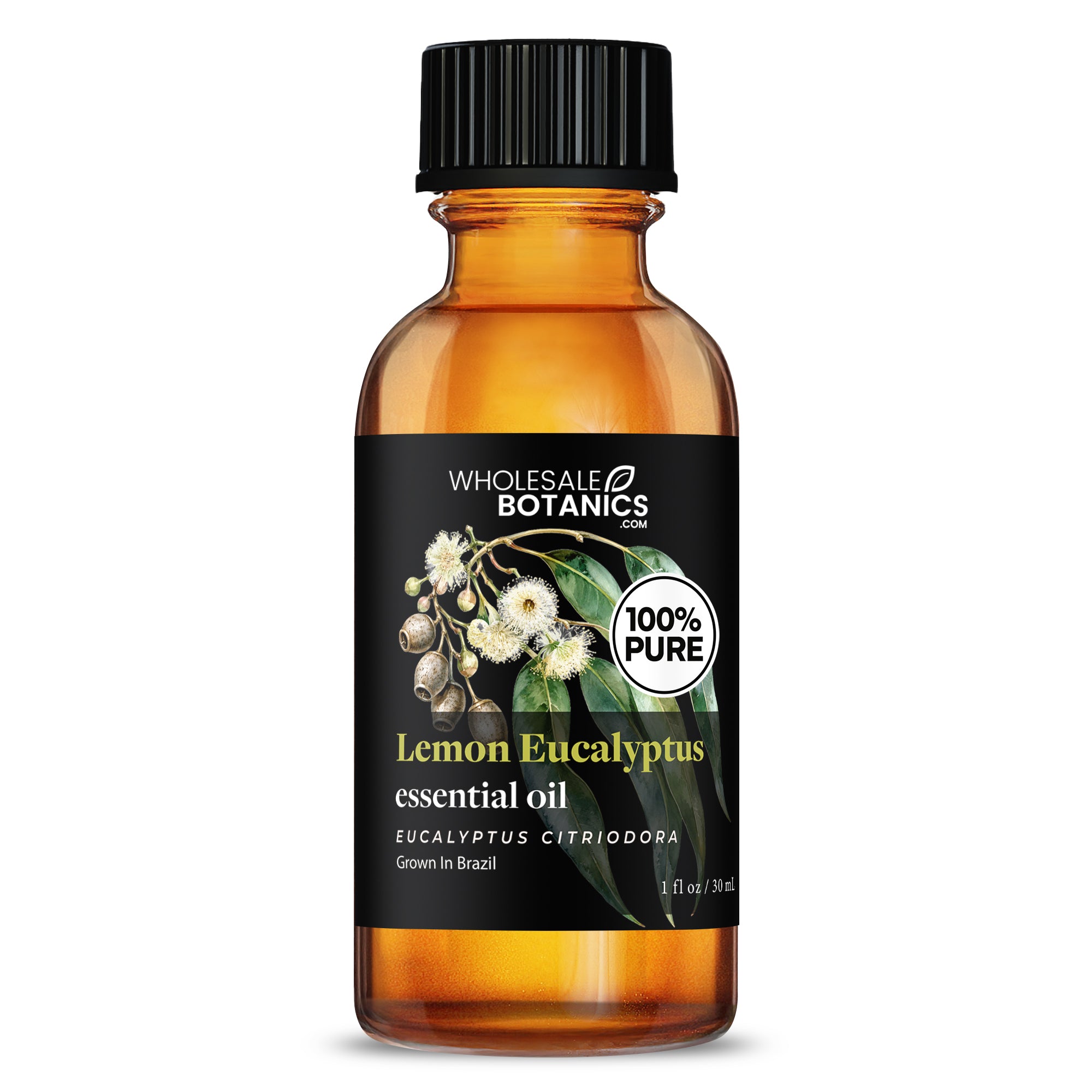 Eucalyptus Essential Oil - Lemon Eucalyptus