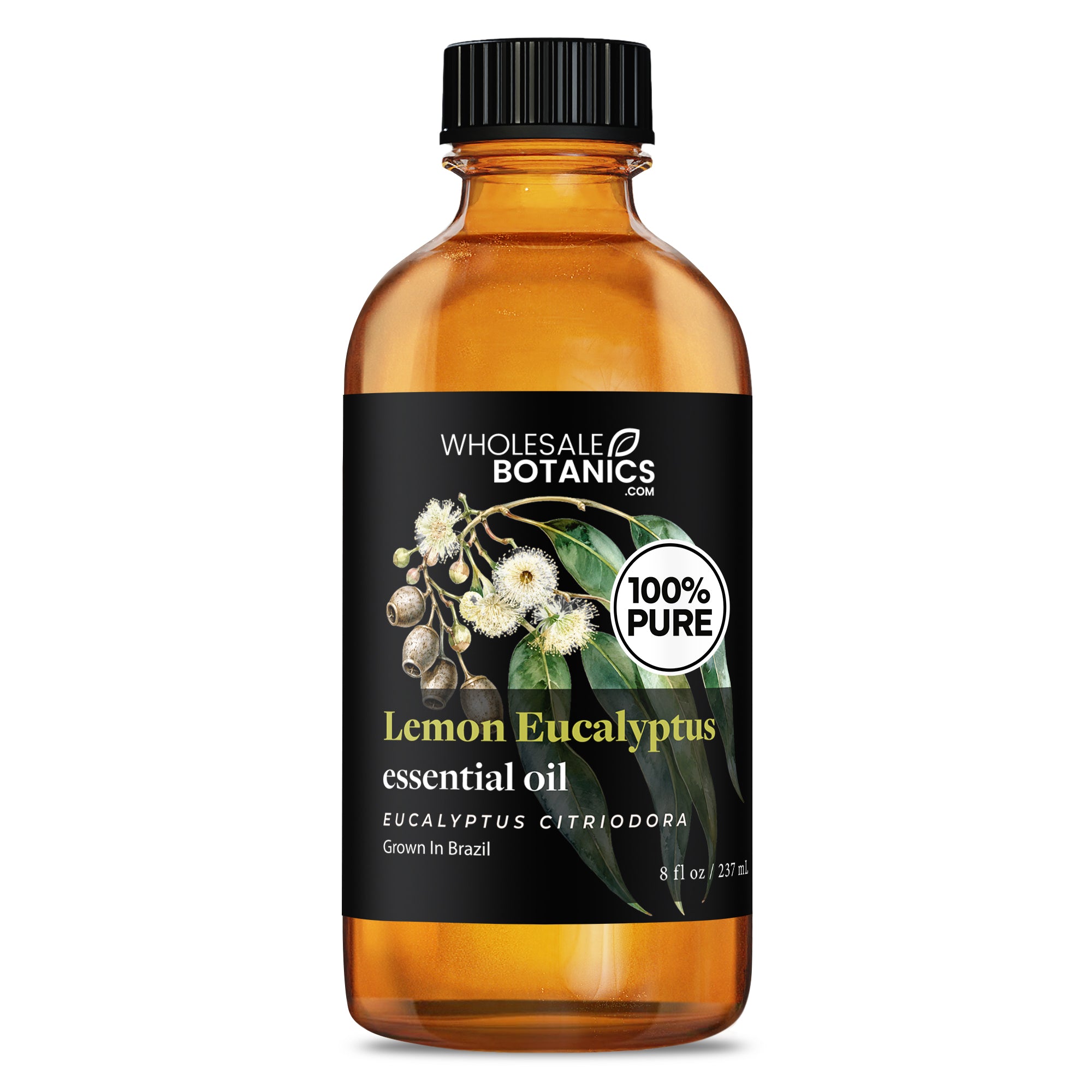 Eucalyptus Essential Oil - Lemon Eucalyptus
