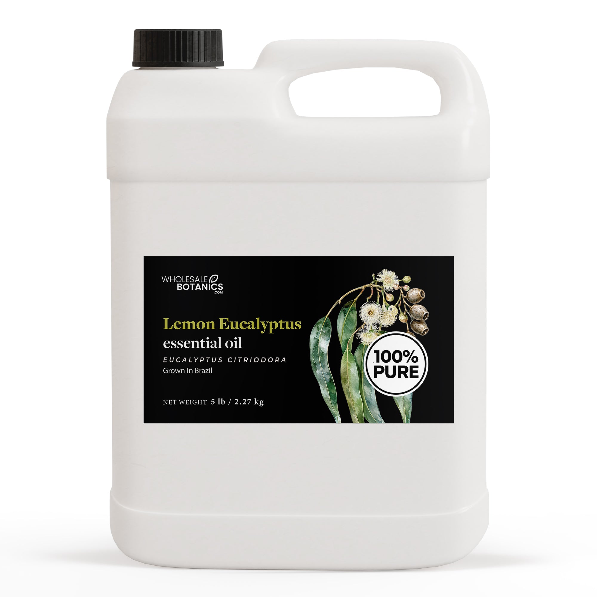 Eucalyptus Essential Oil - Lemon Eucalyptus