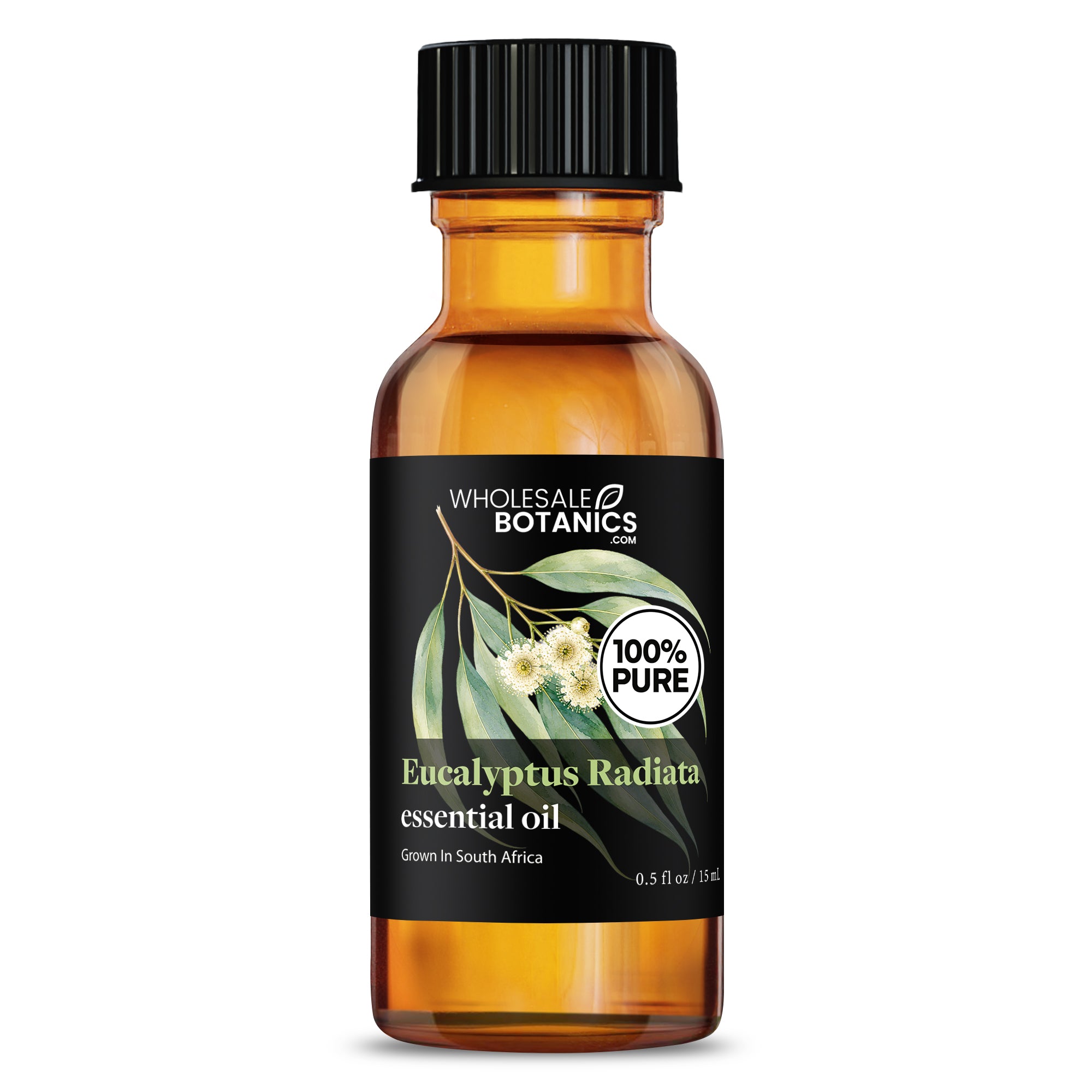 Eucalyptus Essential Oil - Eucalyptus Radiata