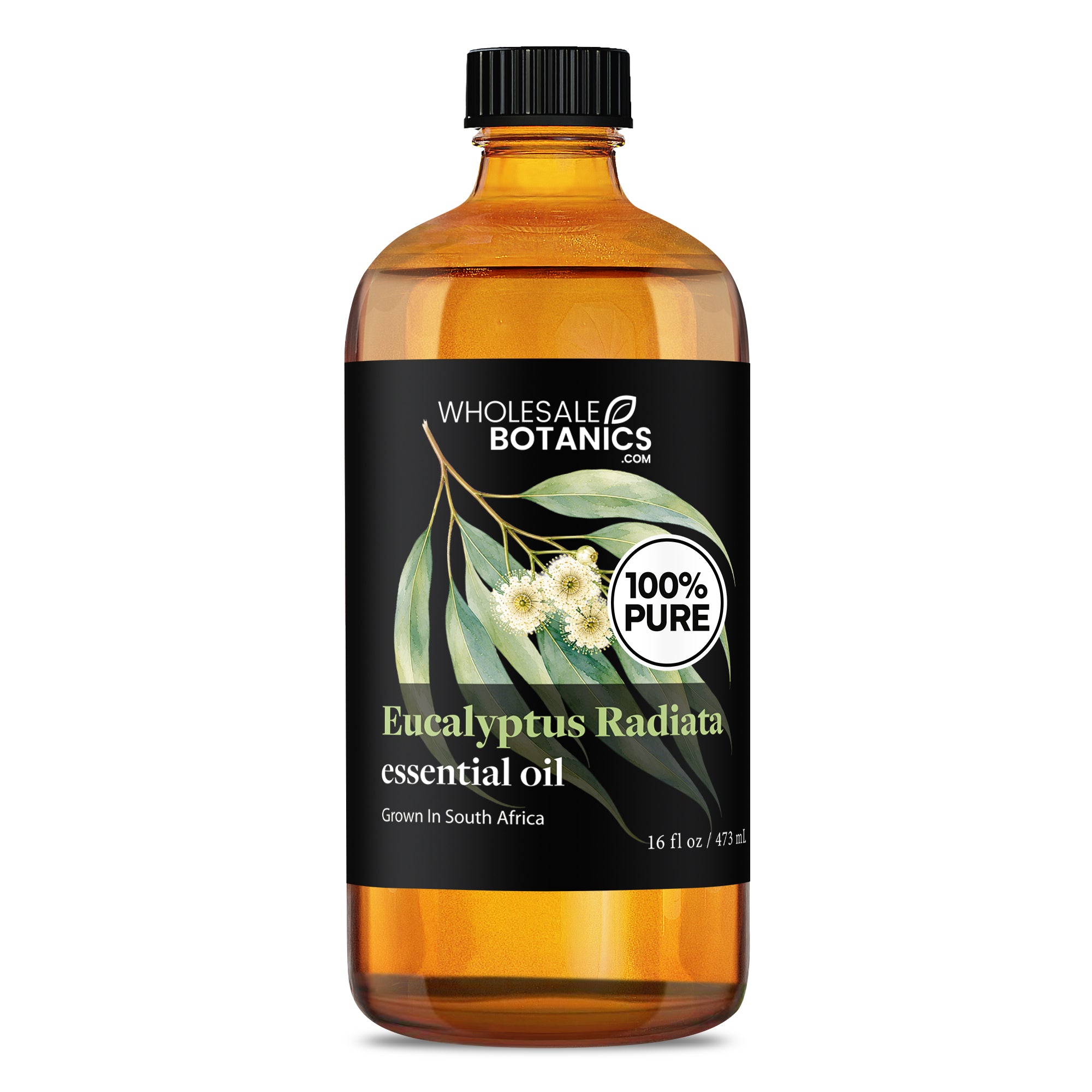 Eucalyptus Essential Oil - Eucalyptus Radiata