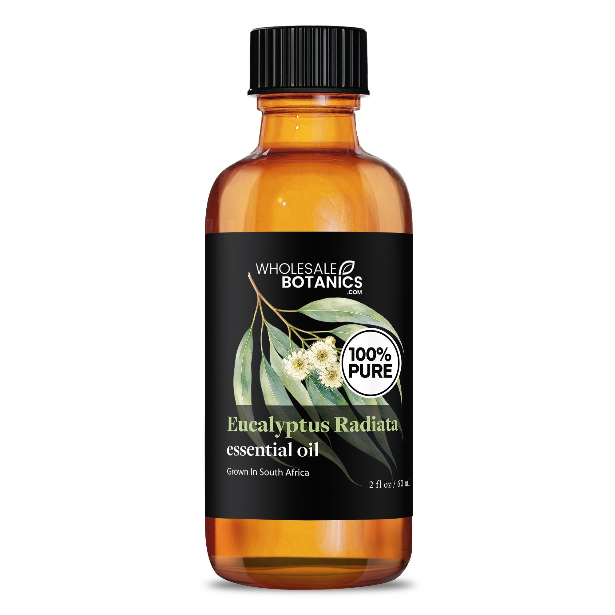 Eucalyptus Essential Oil - Eucalyptus Radiata