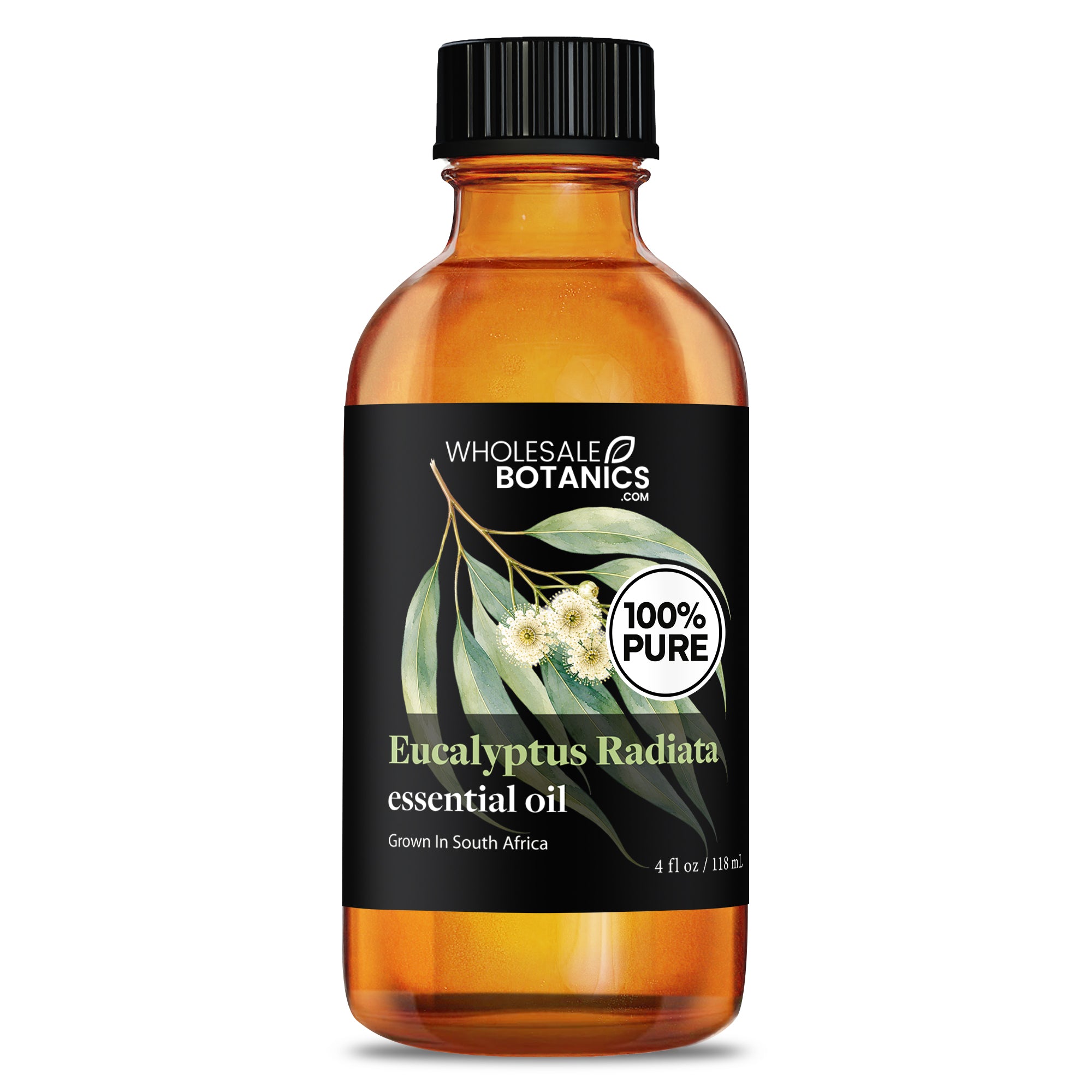 Eucalyptus Essential Oil - Eucalyptus Radiata