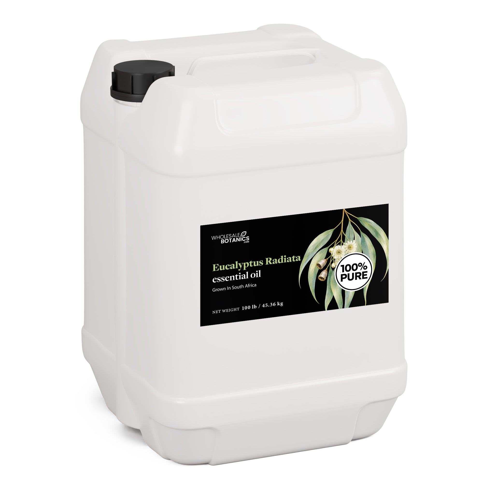 Eucalyptus Essential Oil - Eucalyptus Radiata