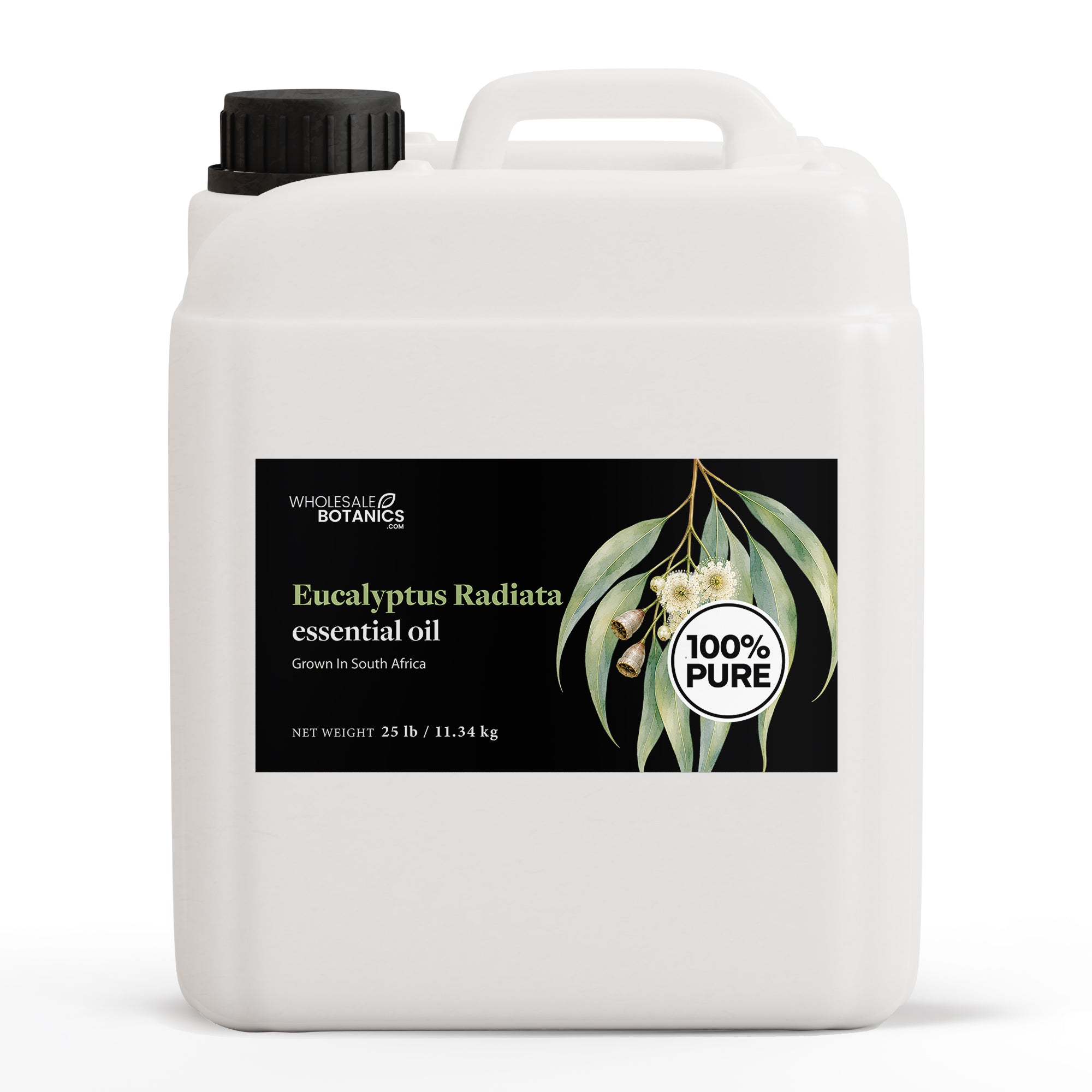 Eucalyptus Essential Oil - Eucalyptus Radiata