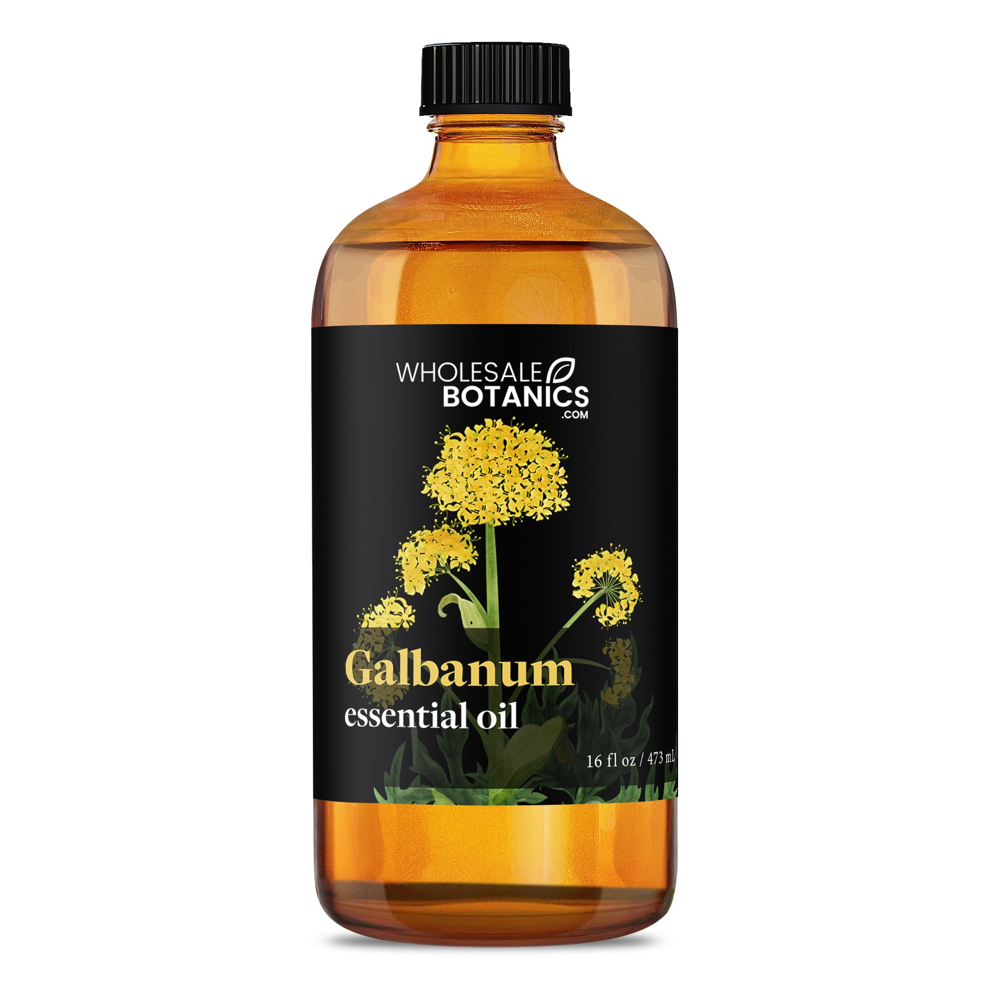 Galbanum Essential Oil