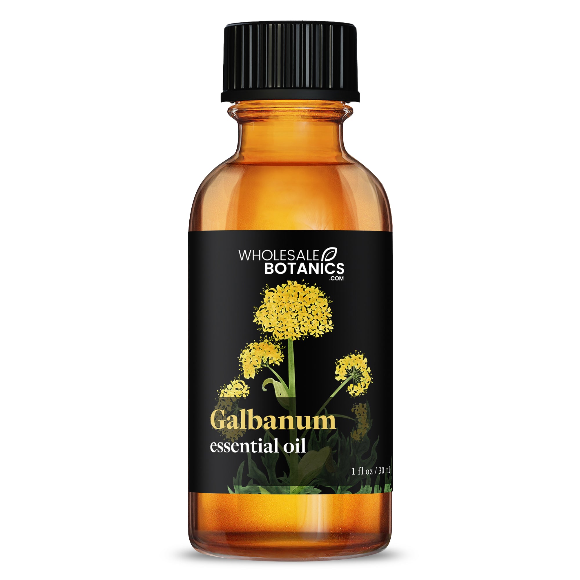 Galbanum Essential Oil
