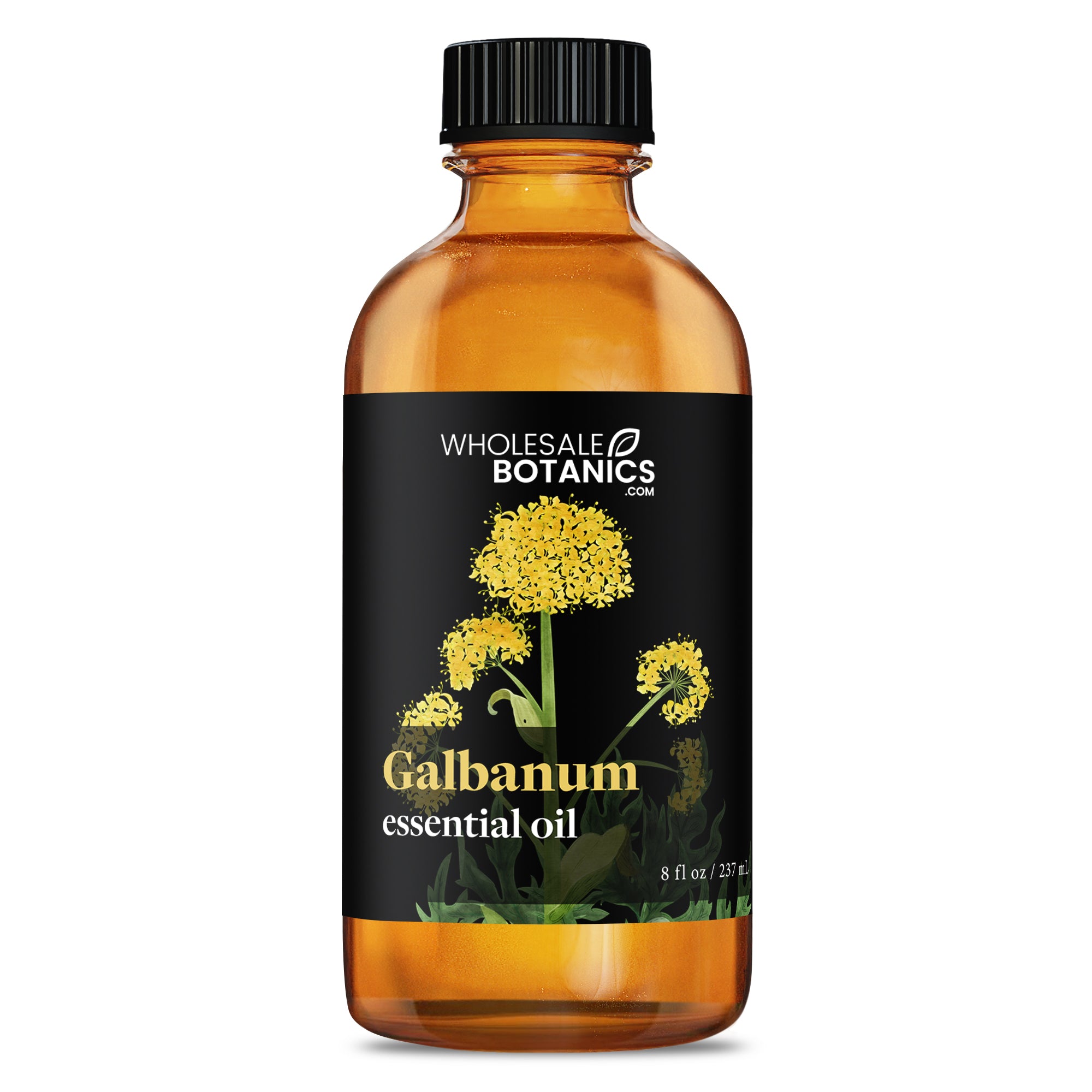Galbanum Essential Oil
