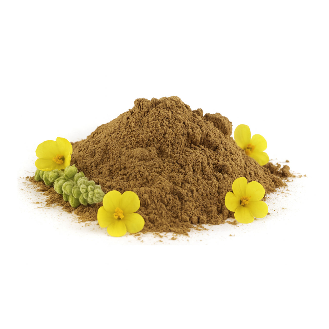 Mullein Powder