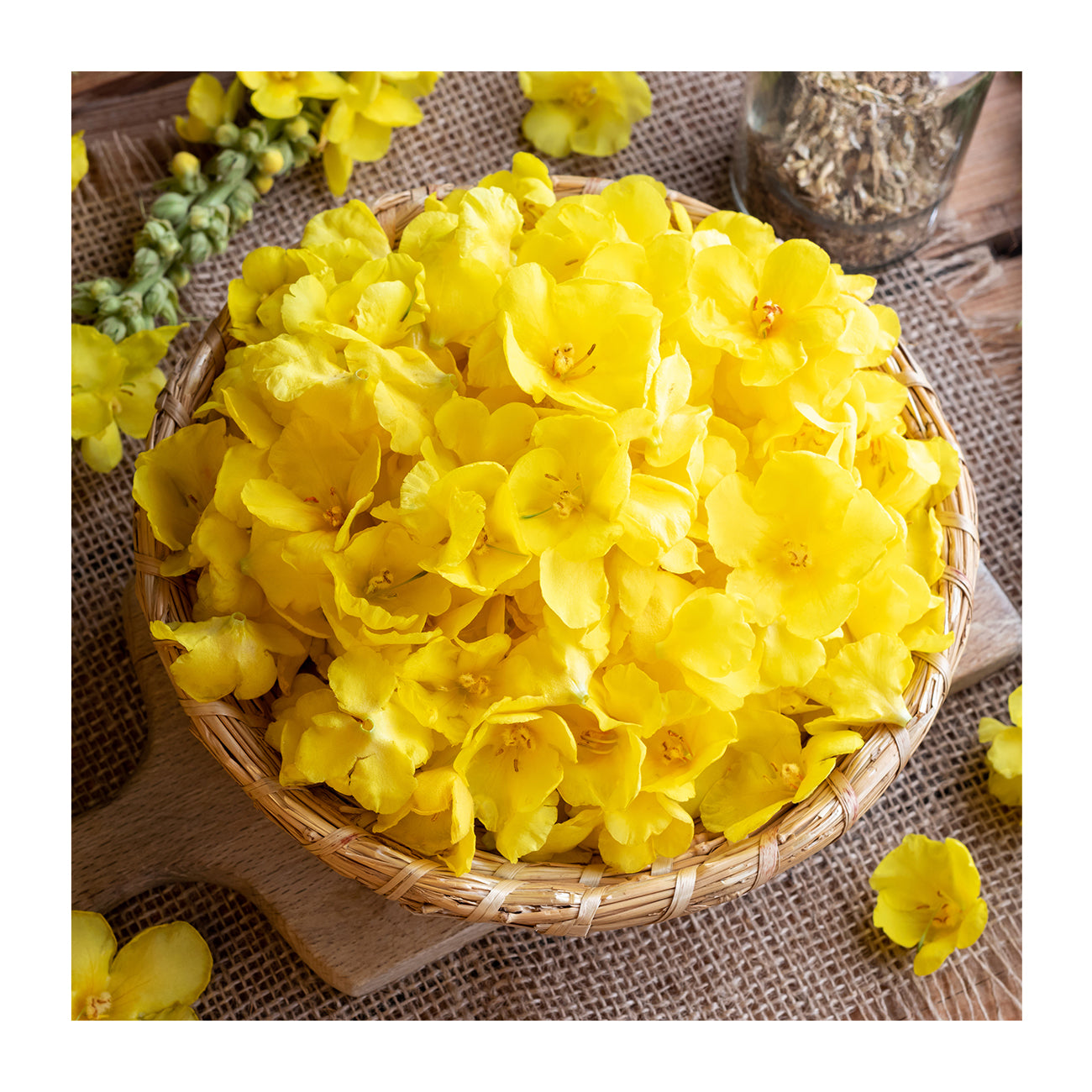 Mullein Powder