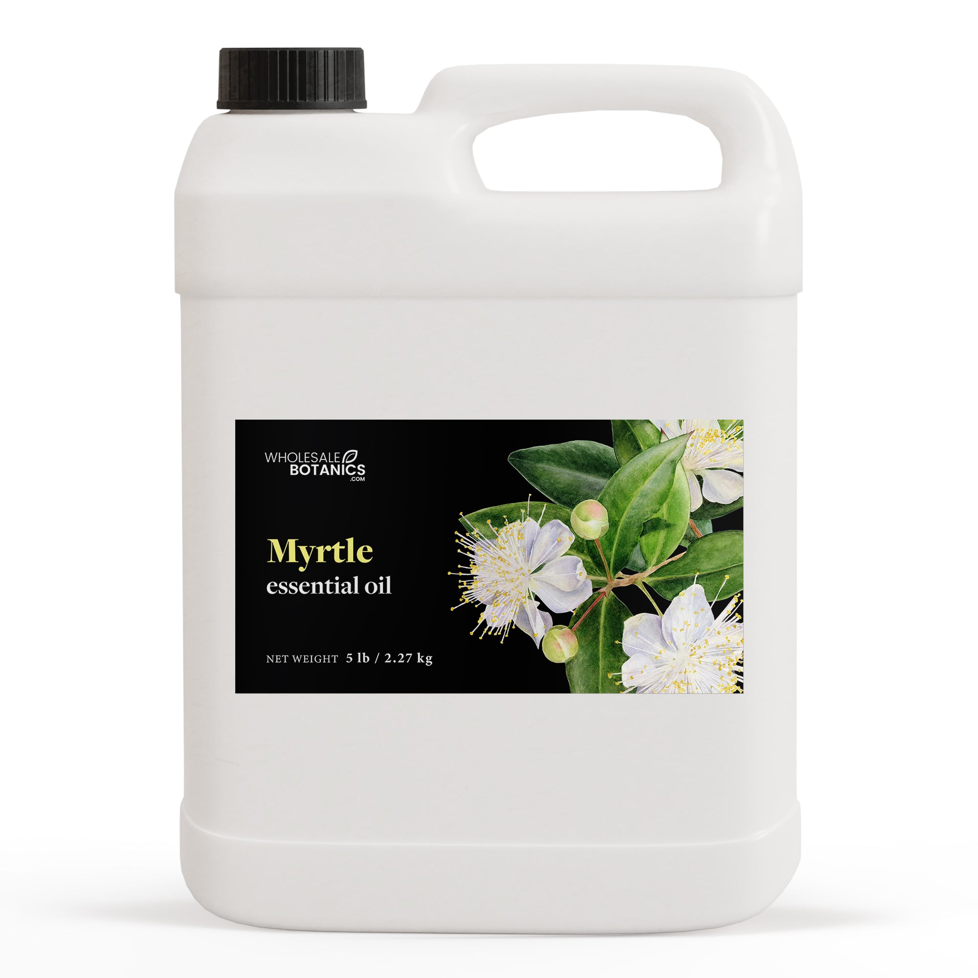 Myrtle Oil