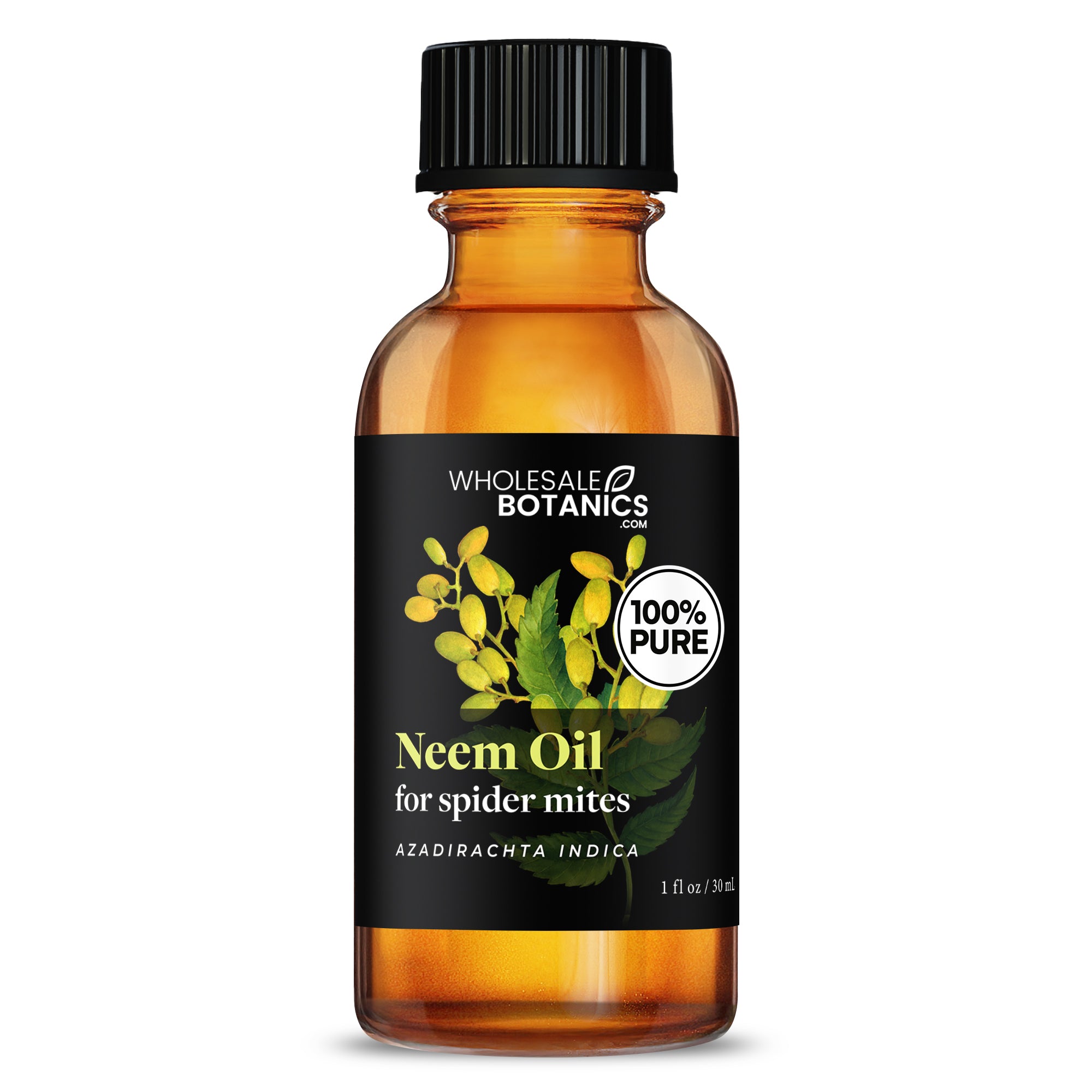 Neem Oil for Spider Mites