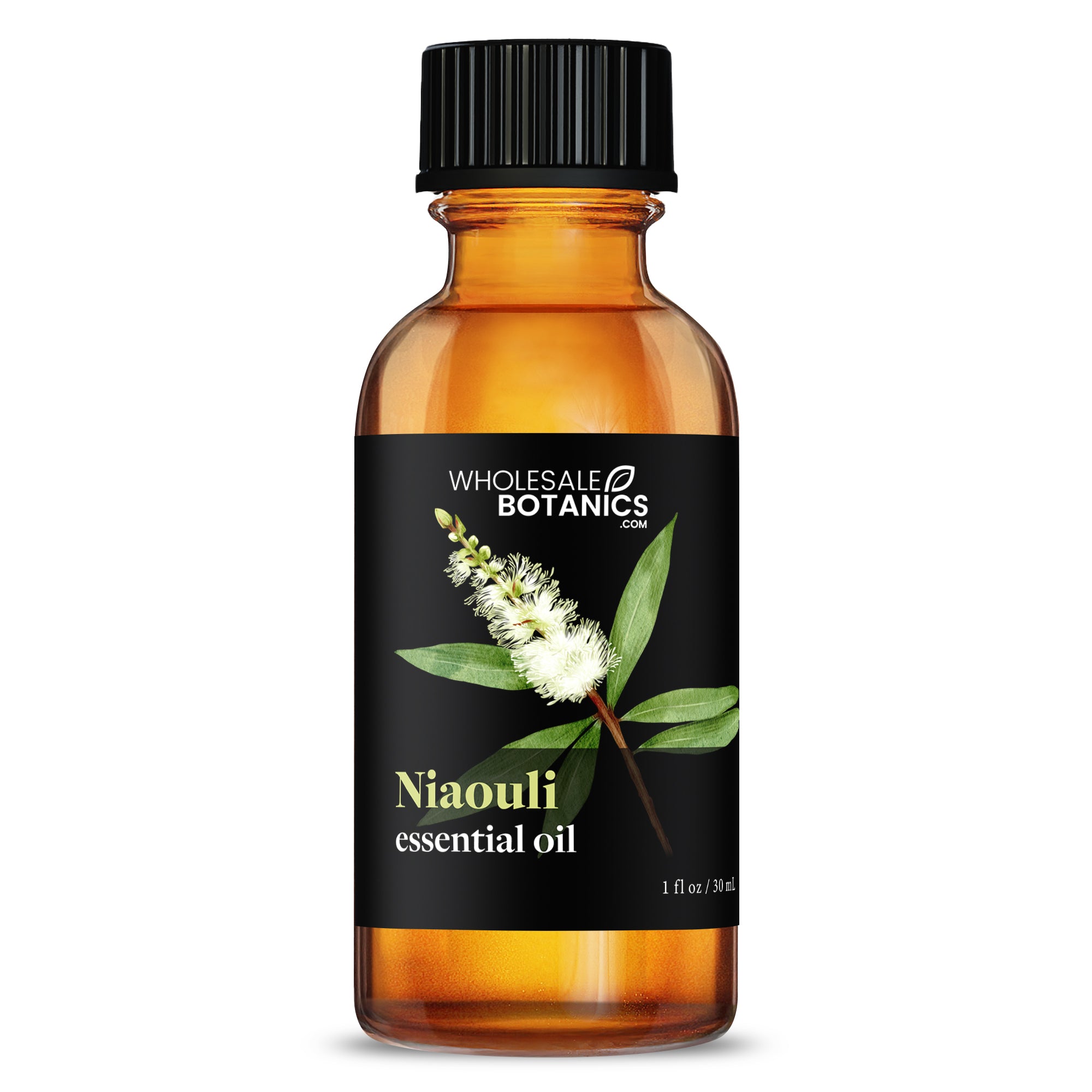 Niaouli Essential Oil