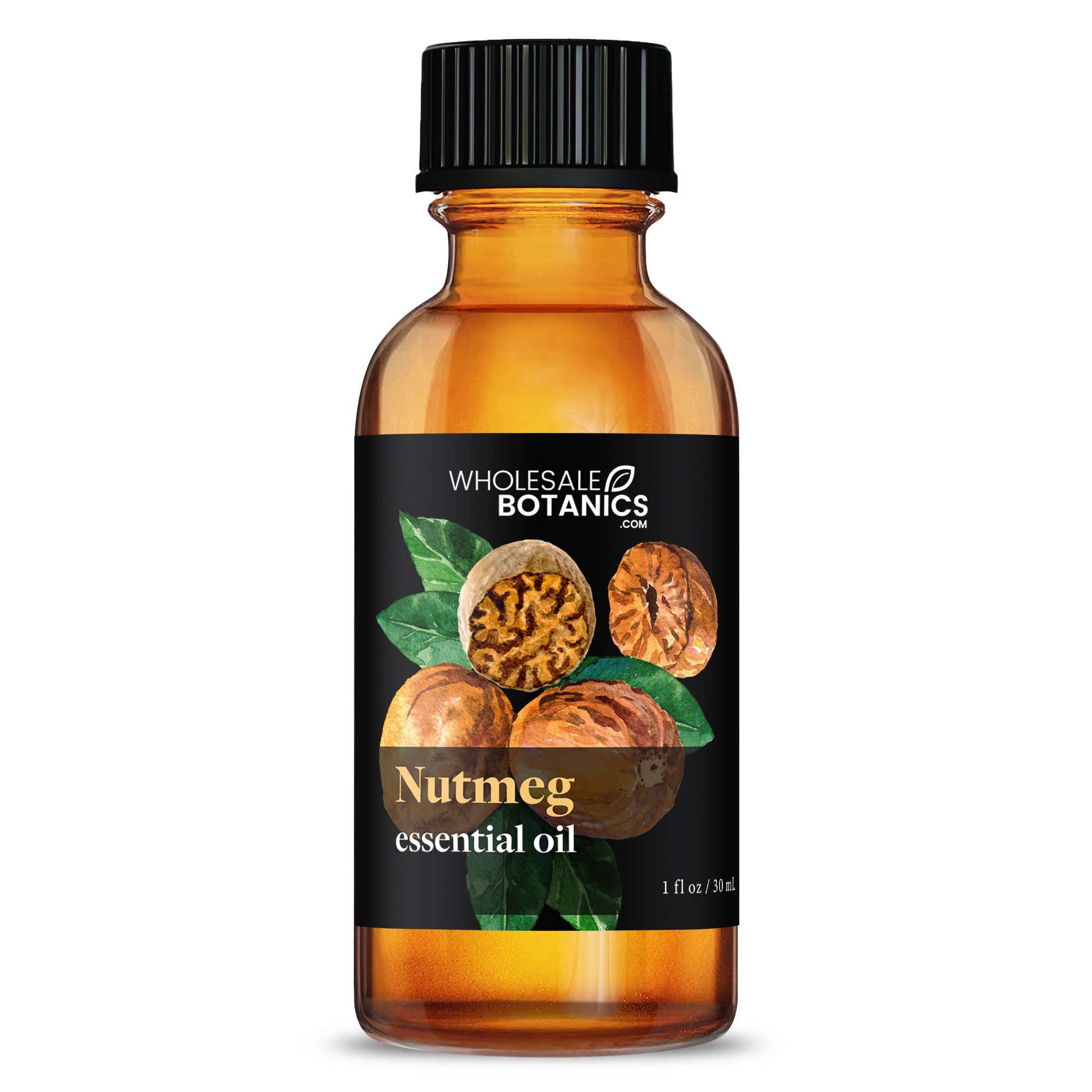 Nutmeg Essential Oil - Botanical