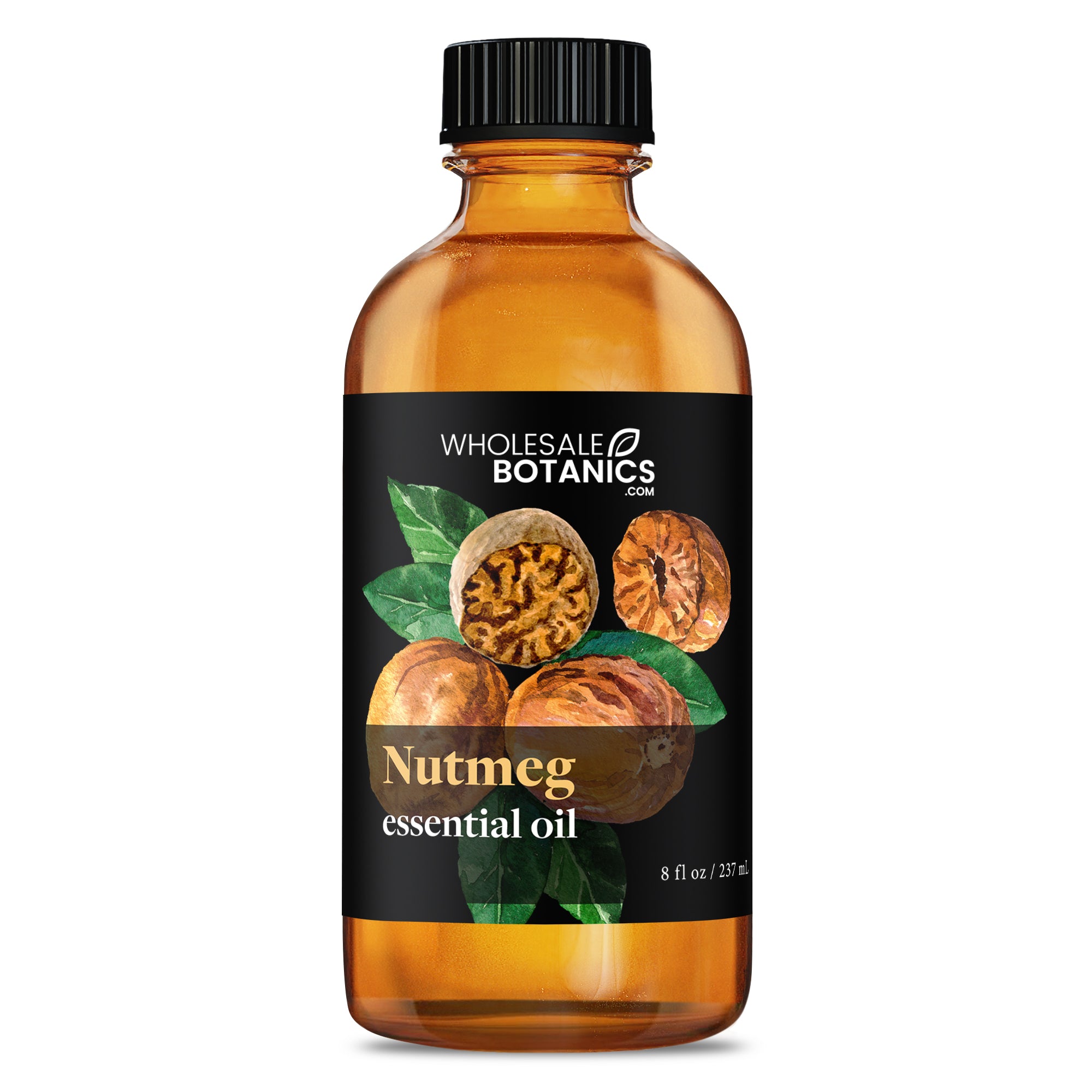 Nutmeg Essential Oil - Botanical