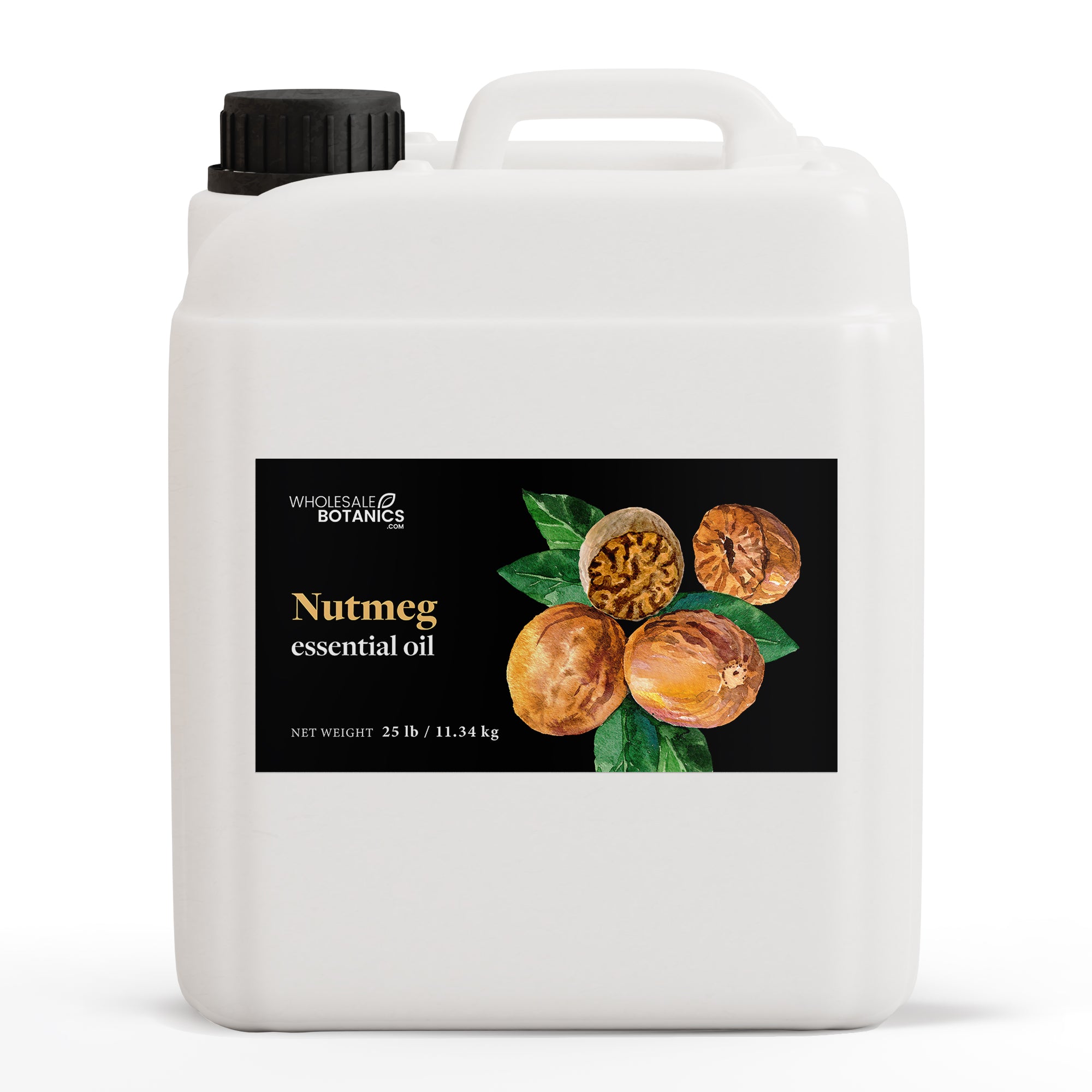 Nutmeg Essential Oil - Botanical