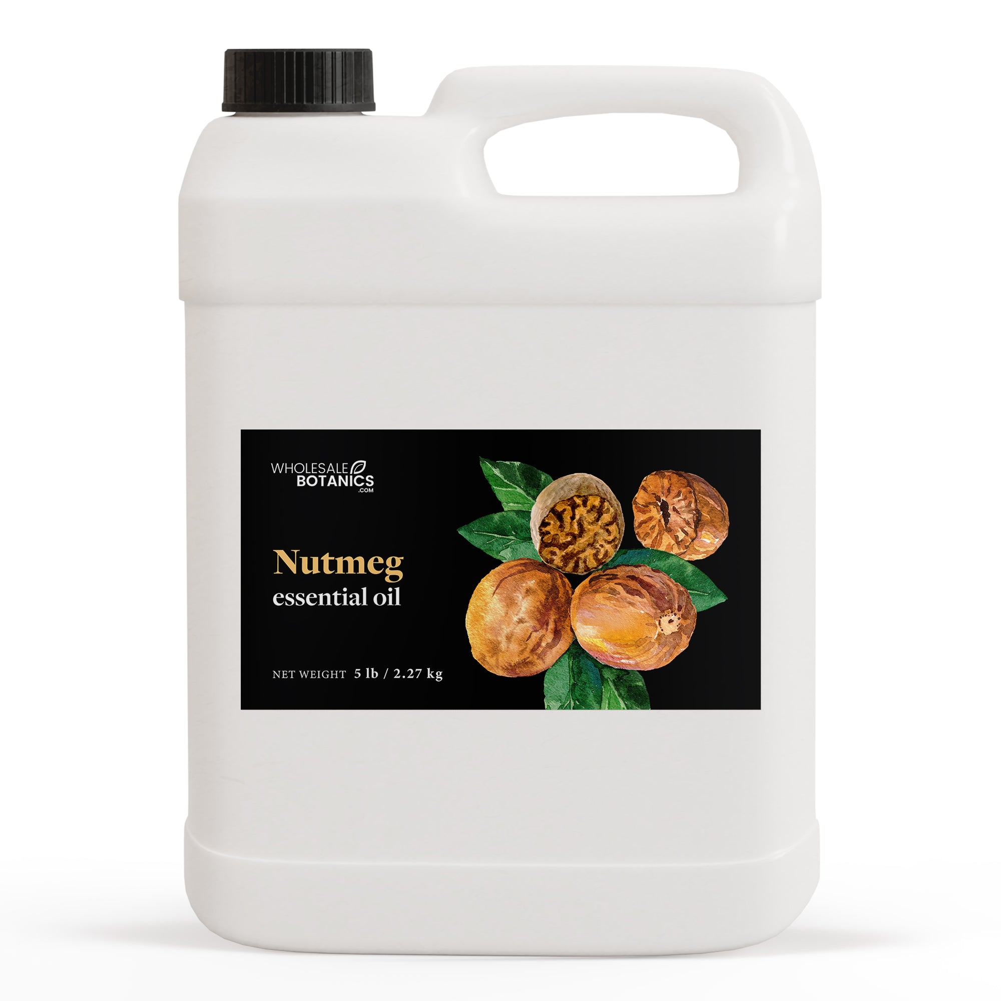 Nutmeg Essential Oil - Botanical