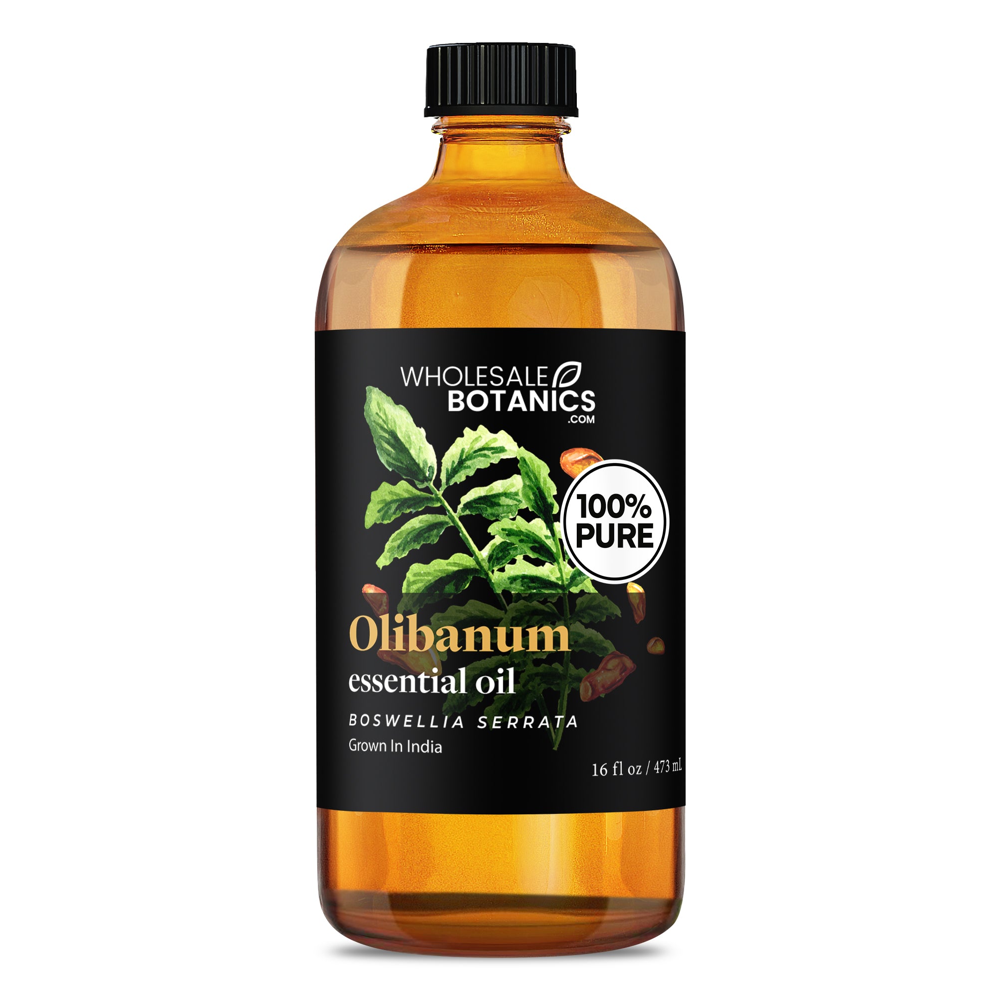 Olibanum Essential Oil