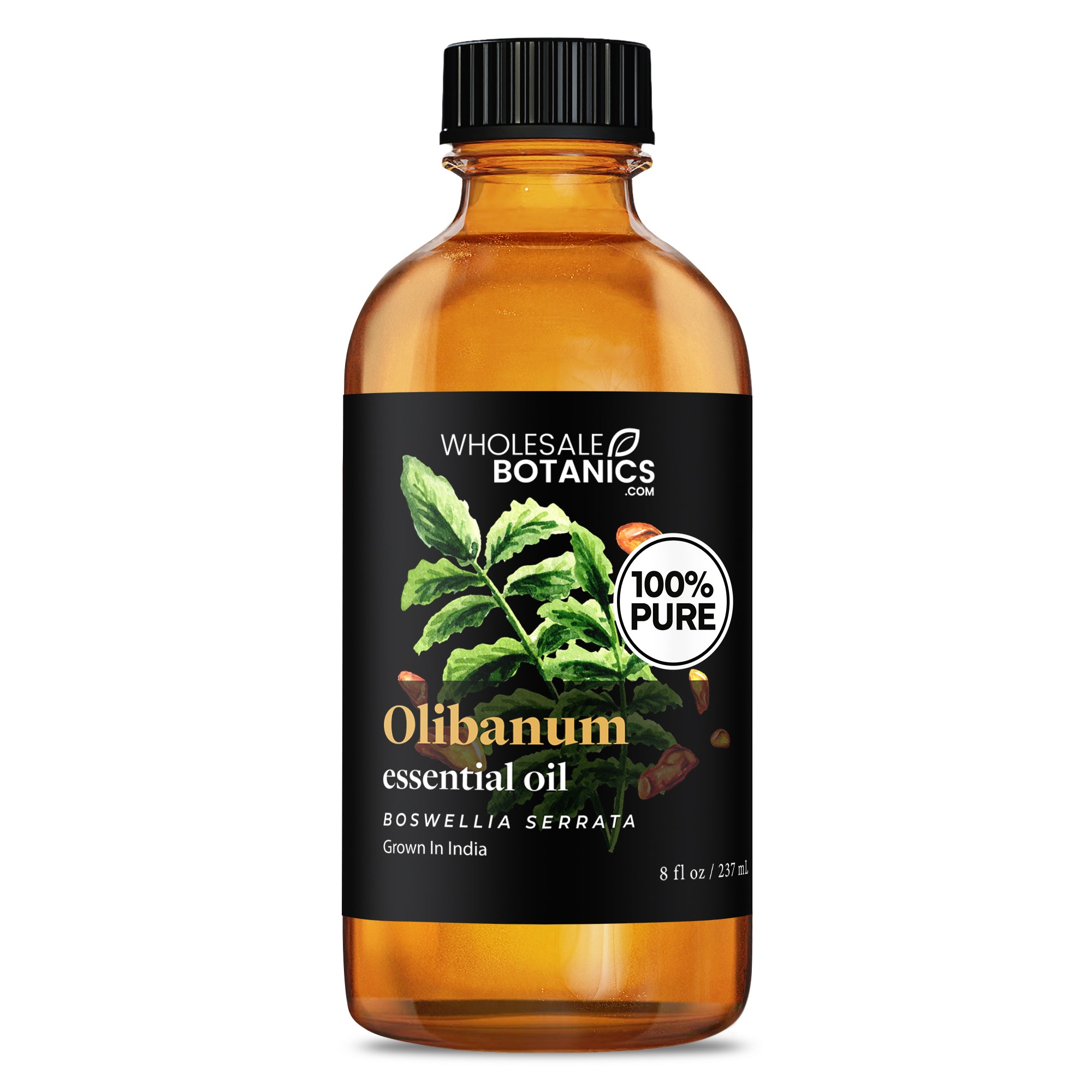 Olibanum Essential Oil