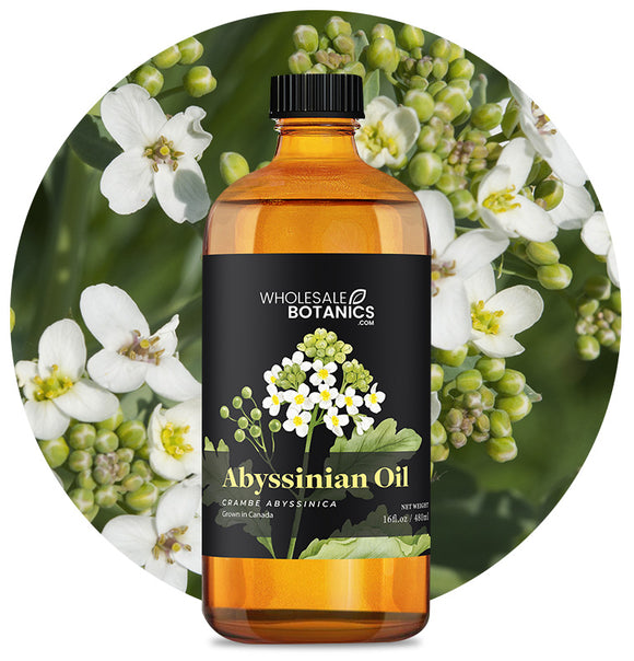 Abyssinian Oil