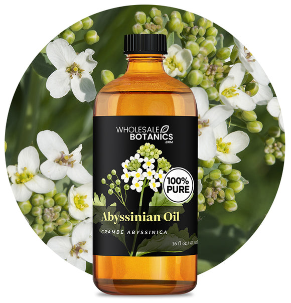Abyssinian Oil