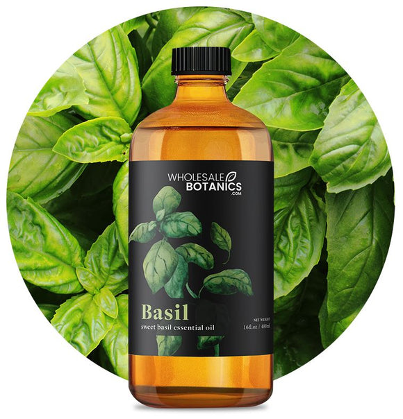 Basil Essential Oil (Sweet)