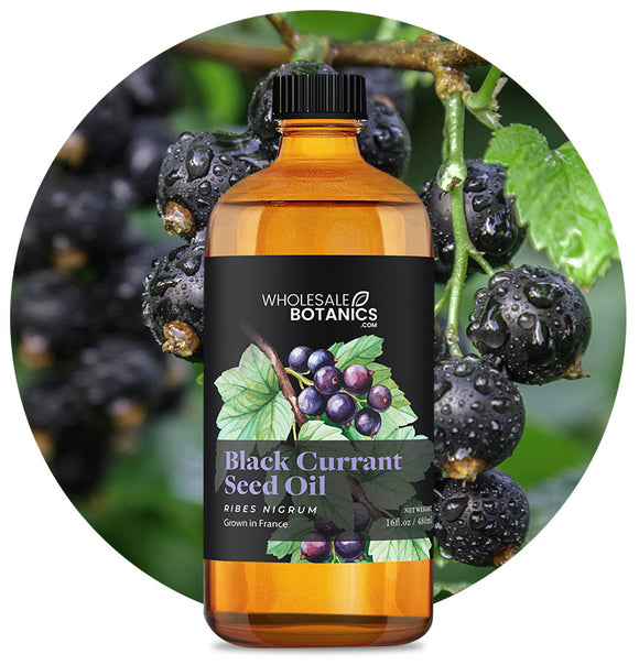 Black Currant Seed Oil