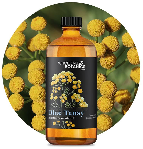 Blue Tansy Essential Oil