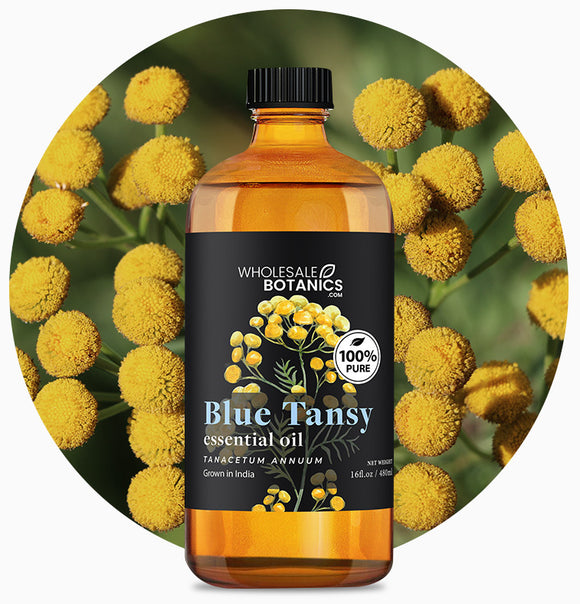 Pure Blue Tansy Oil