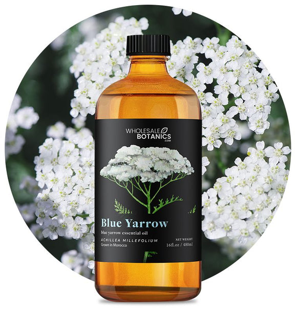 Blue Yarrow Essential Oil