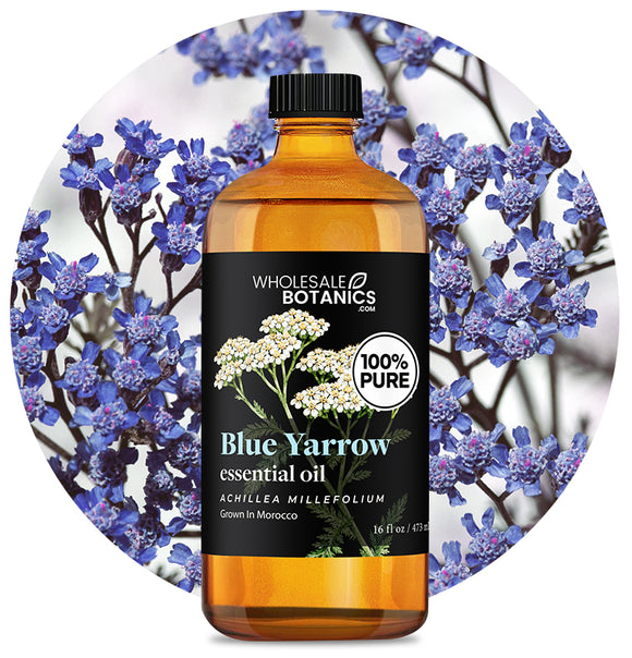 Blue Yarrow Essential Oil