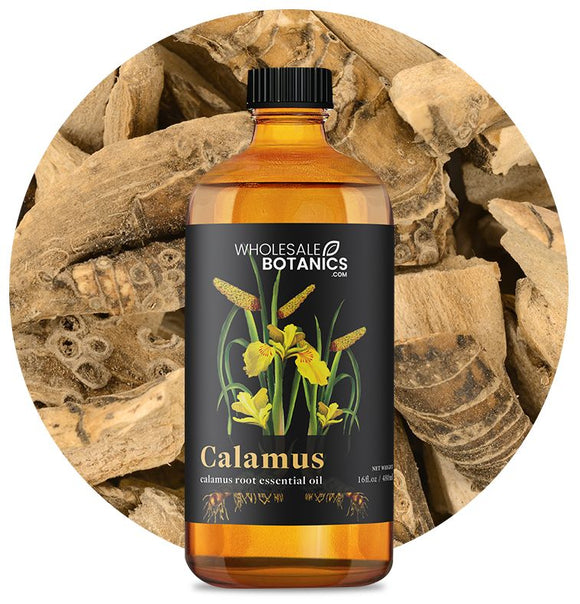 Calamus Essential Oil