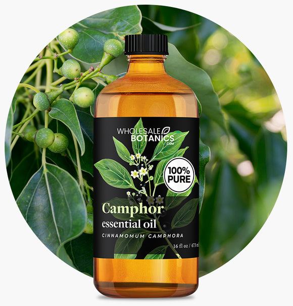 Camphor Oil
