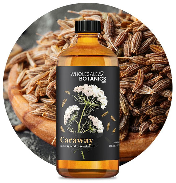 Caraway Essential Oil