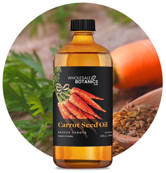 Carrot Seed Carrier Oil