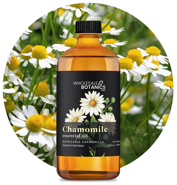 Chamomile Essential Oil