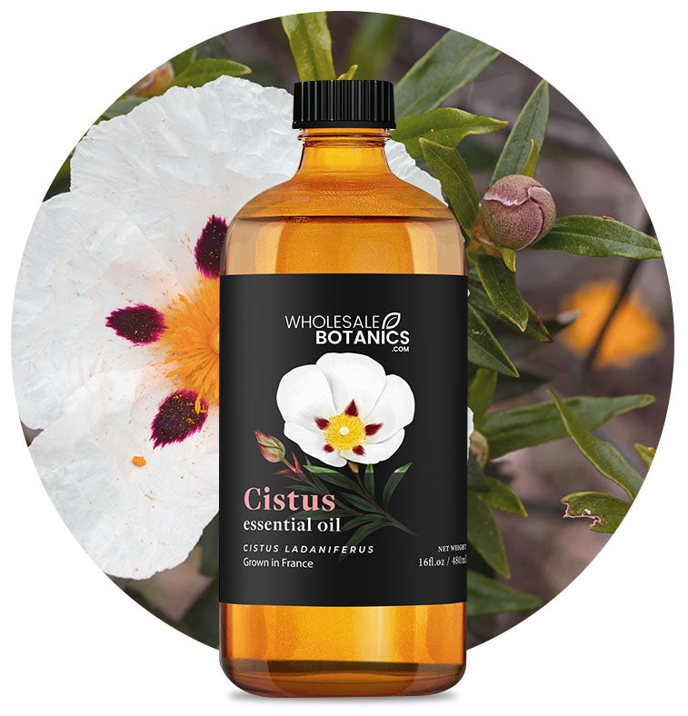 Cistus Essential Oil