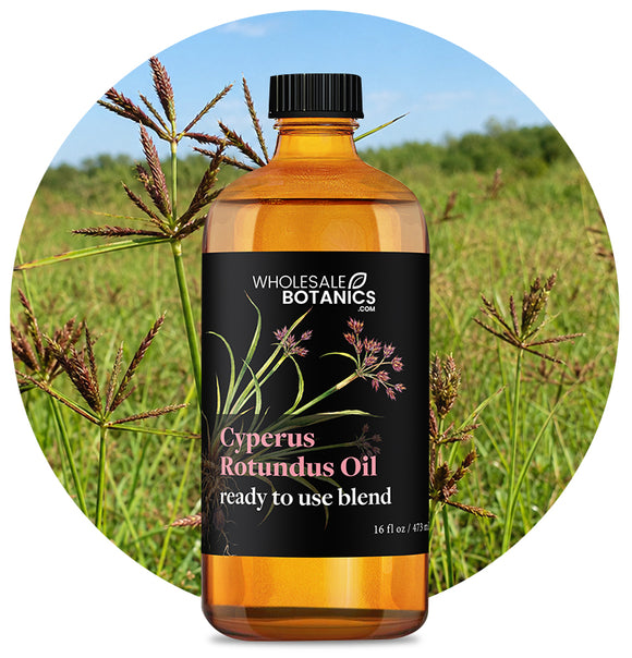 Cyperus Rotundus Oil