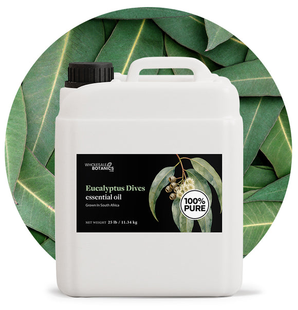 Eucalyptus Dives Oil