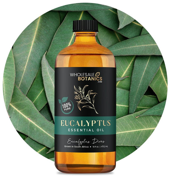 Eucalyptus Dives Oil