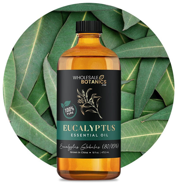 Eucalyptus Globulus (80/85%) Oil