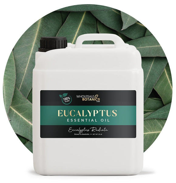 Eucalyptus Radiata Oil