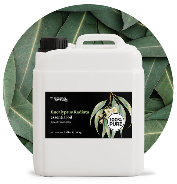 Eucalyptus Radiata Oil
